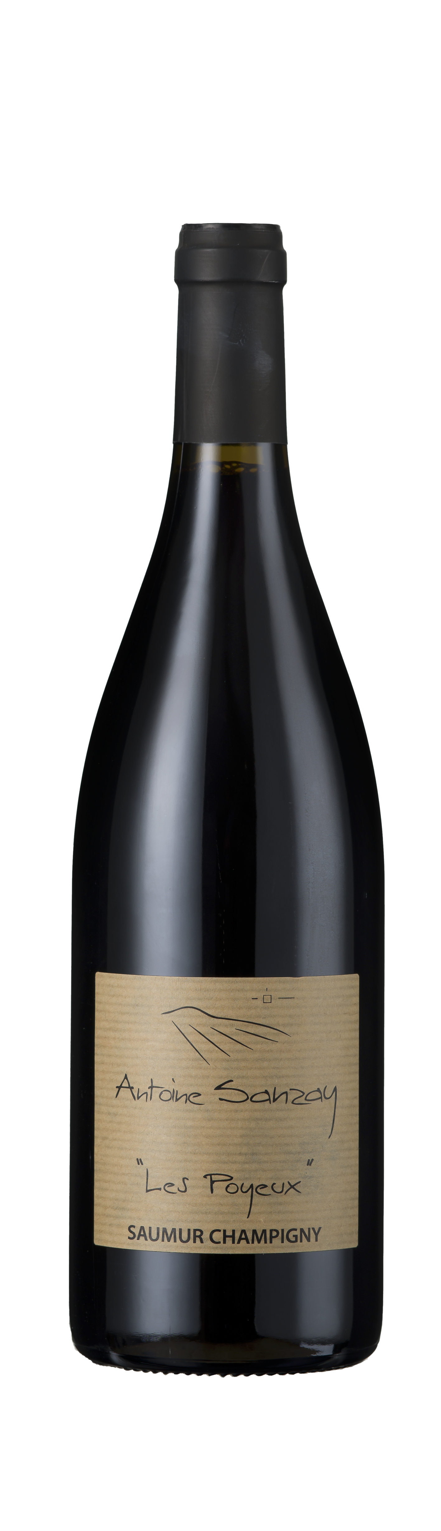 Antoine Sanzay, Saumur Champigny Rouge, Les Poyeux, Saumur, Varrains, Anjou-Saumur, Loire, France, 2020